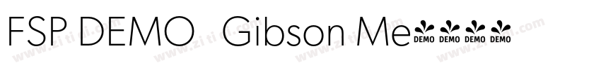 FSP DEMO   Gibson Me字体转换